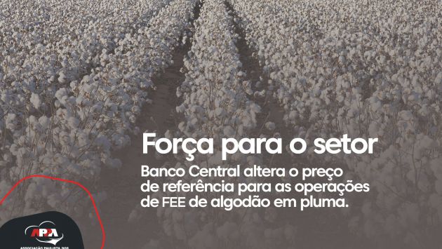 Banco Central altera o preço de referência para as operações de FEE de algodão em pluma