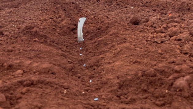 Implantação dos Ensaios de Cultivares de Algodão para o SP Cotton Day 2026