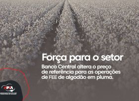 Banco Central altera o preço de referência para as operações de FEE de algodão em pluma