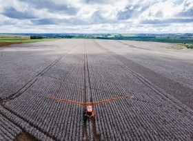São Paulo Cotton Day 2026 já tem data e local confirmados