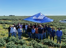 Encontro técnico no Oeste Paulista debate manejo de nematoides e reforça importância da agricultura baseada em ciência